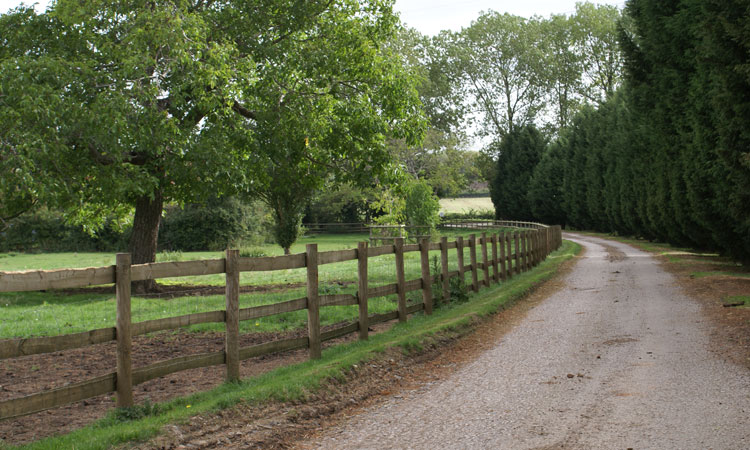 Looking down the drive