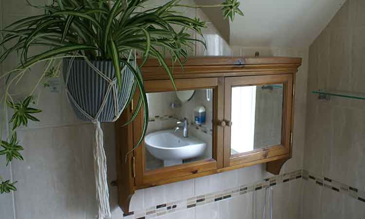 Haselor farm studio the bathroom